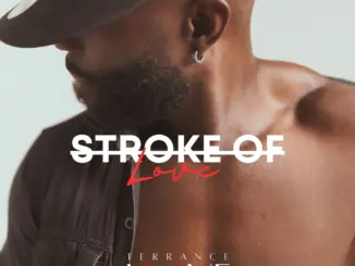 Terrance Love – Stroke of Love