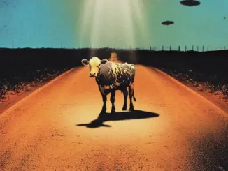 The Covasettes – Honeymoon Forever (Album)