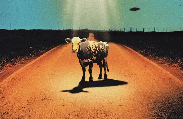 The Covasettes – Honeymoon Forever (Album)