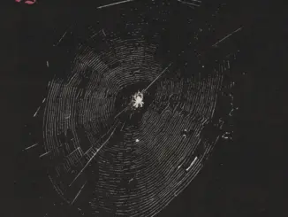 Tigercub – Nets to Catch the Wind (Album)