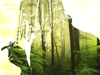 Yung Kayo – Komodo (Album)