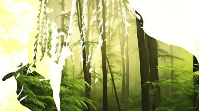 Yung Kayo – Komodo (Album)