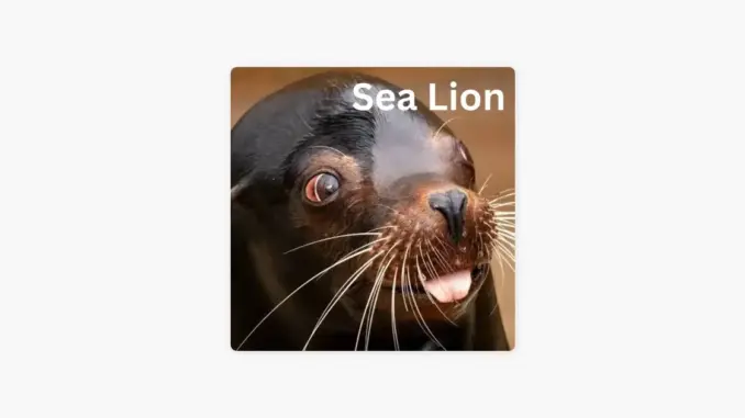 Yuno Miles – Sea Lion