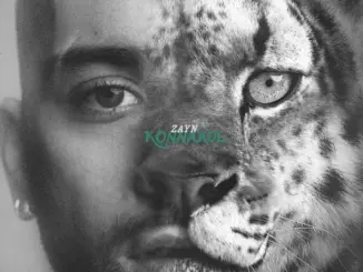 ZAYN – KONNAKOL (Album)