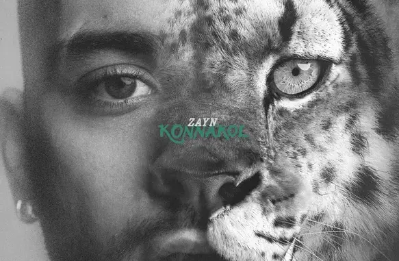 ZAYN – KONNAKOL (Album)