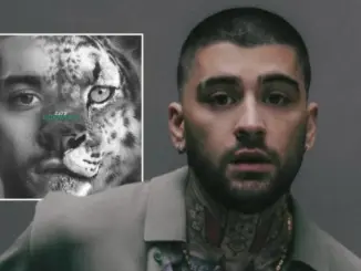 ZAYN — KONNAKOL