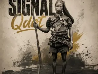 Qdot – Signal