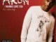 Akon Ft. Snoop Dogg – I Wanna Love You