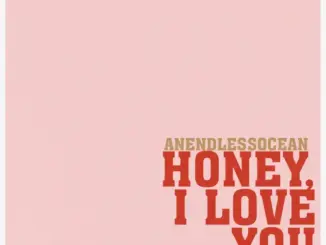 Anendlessocean – Honey…I Love You