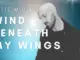 Auden Ashbury – Wind Beneath My Wings