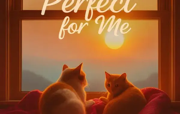 Can I – Perfect For Me (Acoustic Pop)