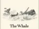 Caroline Shaw – The Whale (Album)