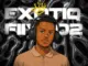 Exotiq Fiive02 – Pure Intentions