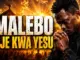 Hymnal Africa – Namililia Malebo Faustin Munishi (Cover)