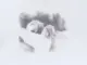 LAVURN – Baby It Cold Outside (Album)