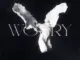 LONOWN & Riserayss – Worry (Ultra Slowed)