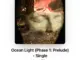 Navy Blue — Ocean Light (Phase 1 Prelude)