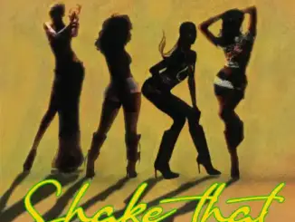 Patoranking – Shake That Ft. Ruger (1)