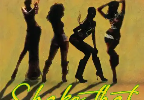 Patoranking – Shake That Ft. Ruger (1)