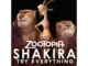 Shakira – Try Everything