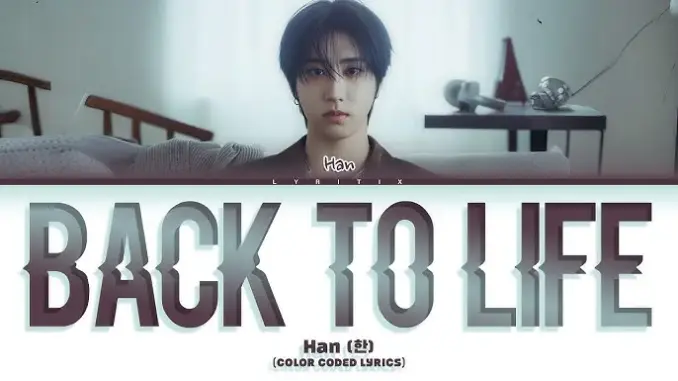 Stray Kids – Back to Life