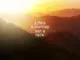 Sunset Boss – Life is a Journey…It’s a Long Race