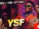 Wale – Ysf Ft. Teni & Seyi Vibez