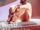 Wizkid – Don't Dull