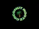 Coconut Rootz – Road to Zion